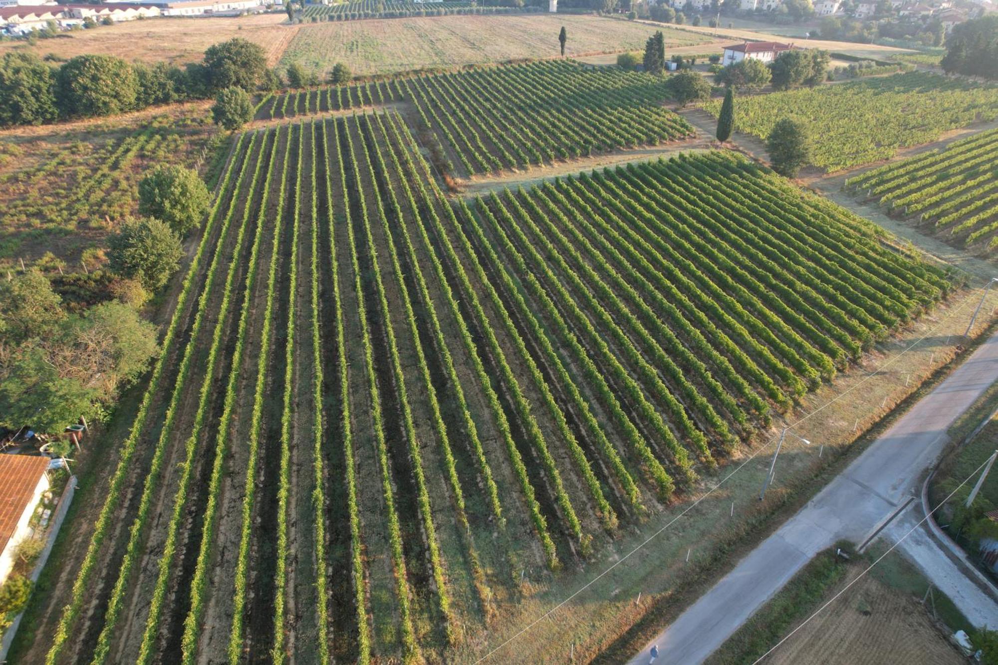 فيلا Cappannelle Country House Tuscany كاستيليون فيبوكي المظهر الخارجي الصورة