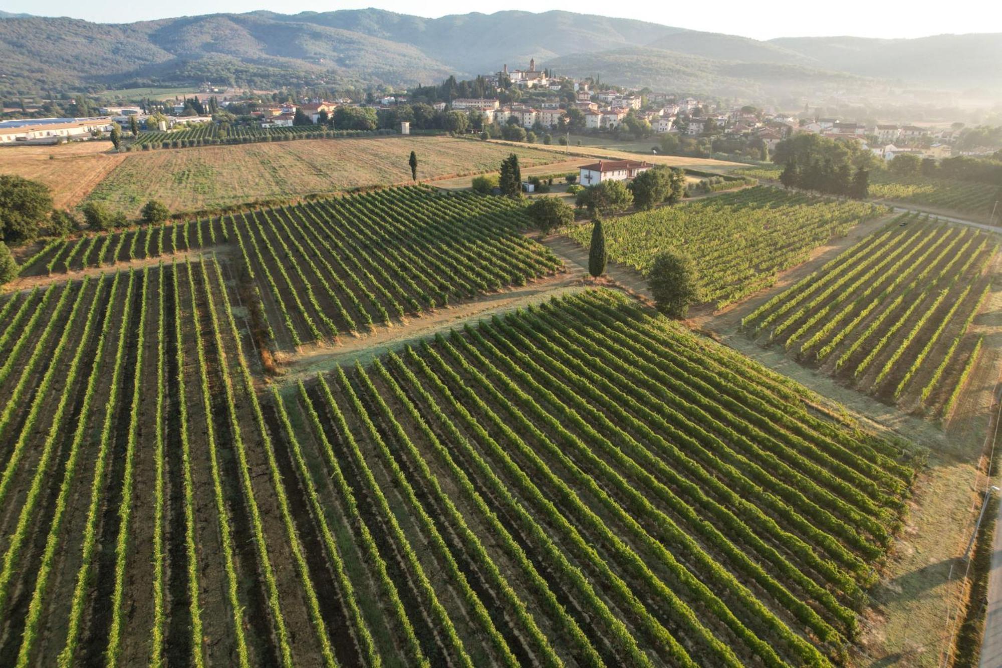 فيلا Cappannelle Country House Tuscany كاستيليون فيبوكي المظهر الخارجي الصورة