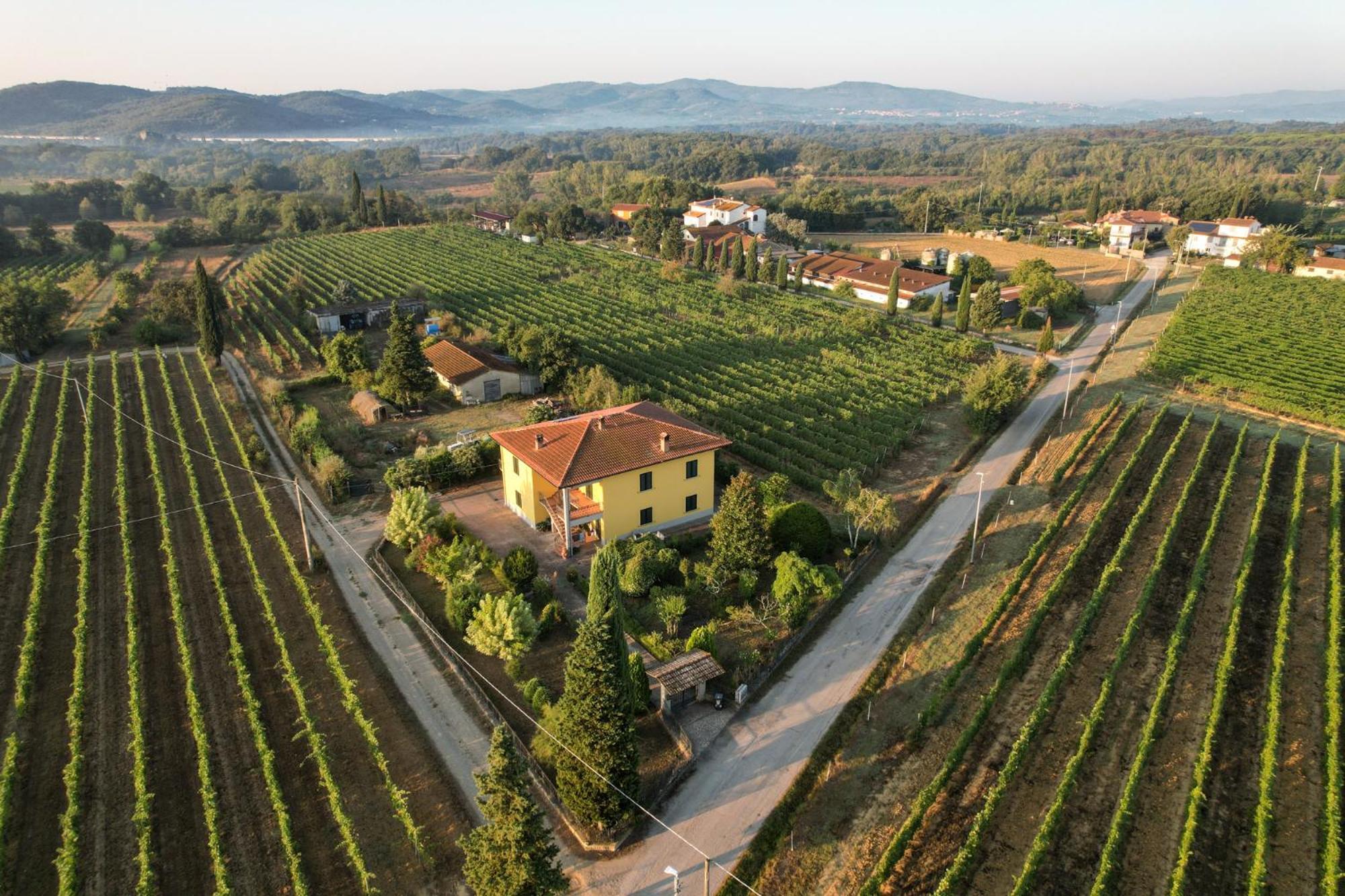 فيلا Cappannelle Country House Tuscany كاستيليون فيبوكي المظهر الخارجي الصورة