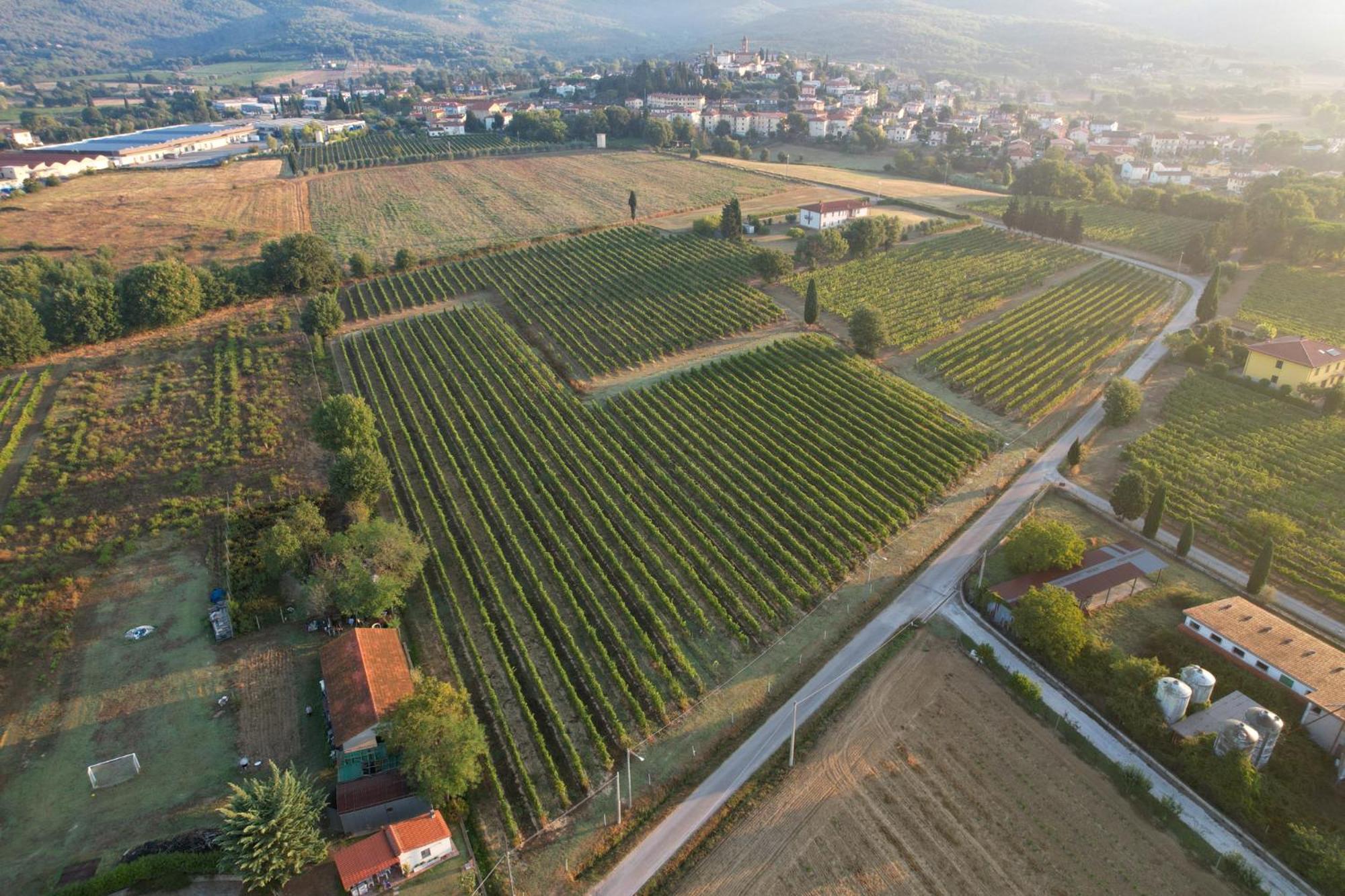 فيلا Cappannelle Country House Tuscany كاستيليون فيبوكي المظهر الخارجي الصورة