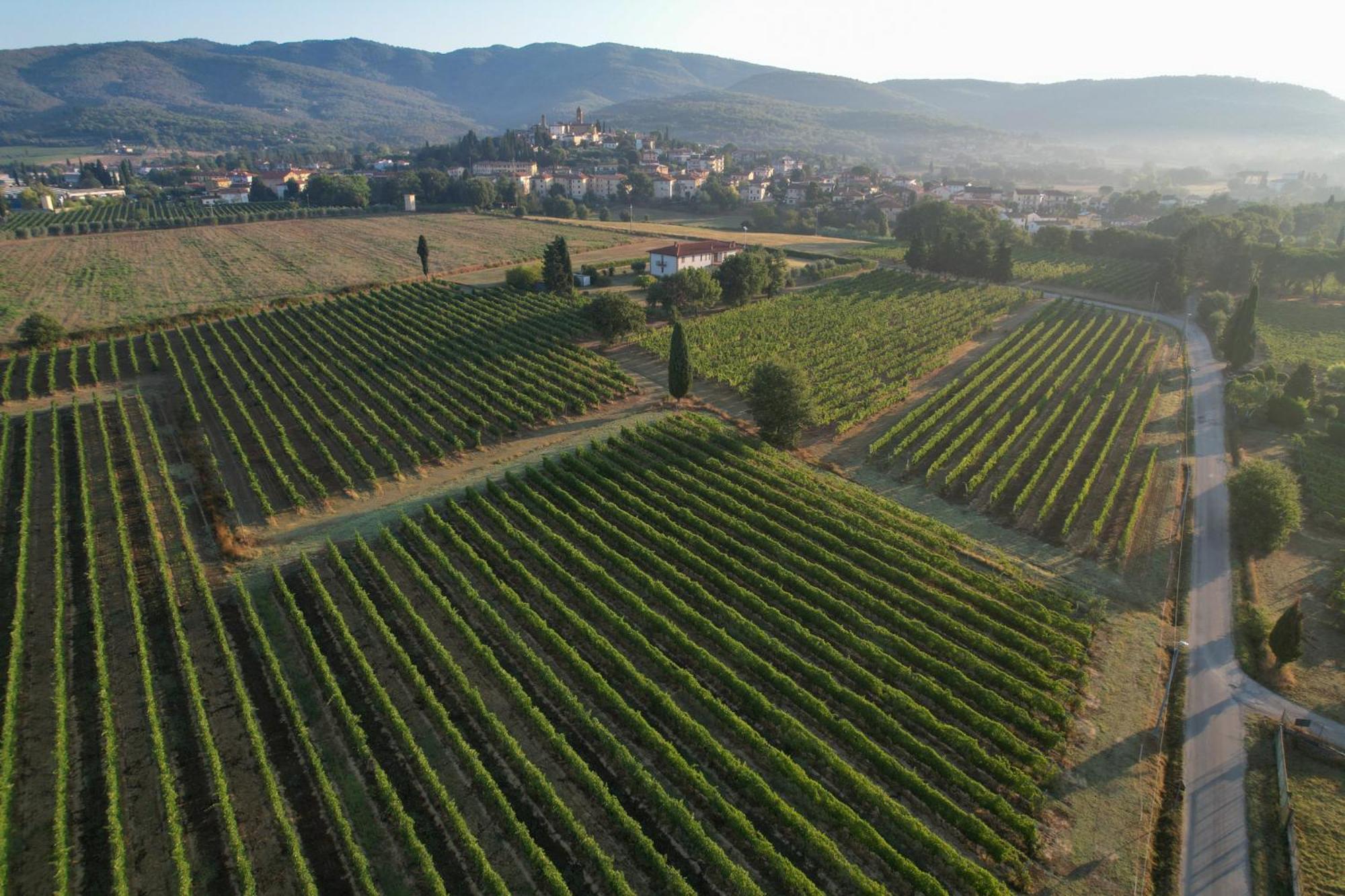 فيلا Cappannelle Country House Tuscany كاستيليون فيبوكي المظهر الخارجي الصورة